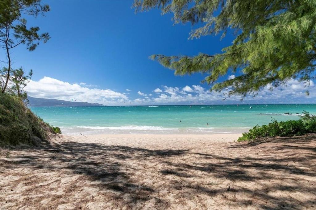 Unit 14 Maui Ohana Modern Studio Wailuku Exteriér fotografie
